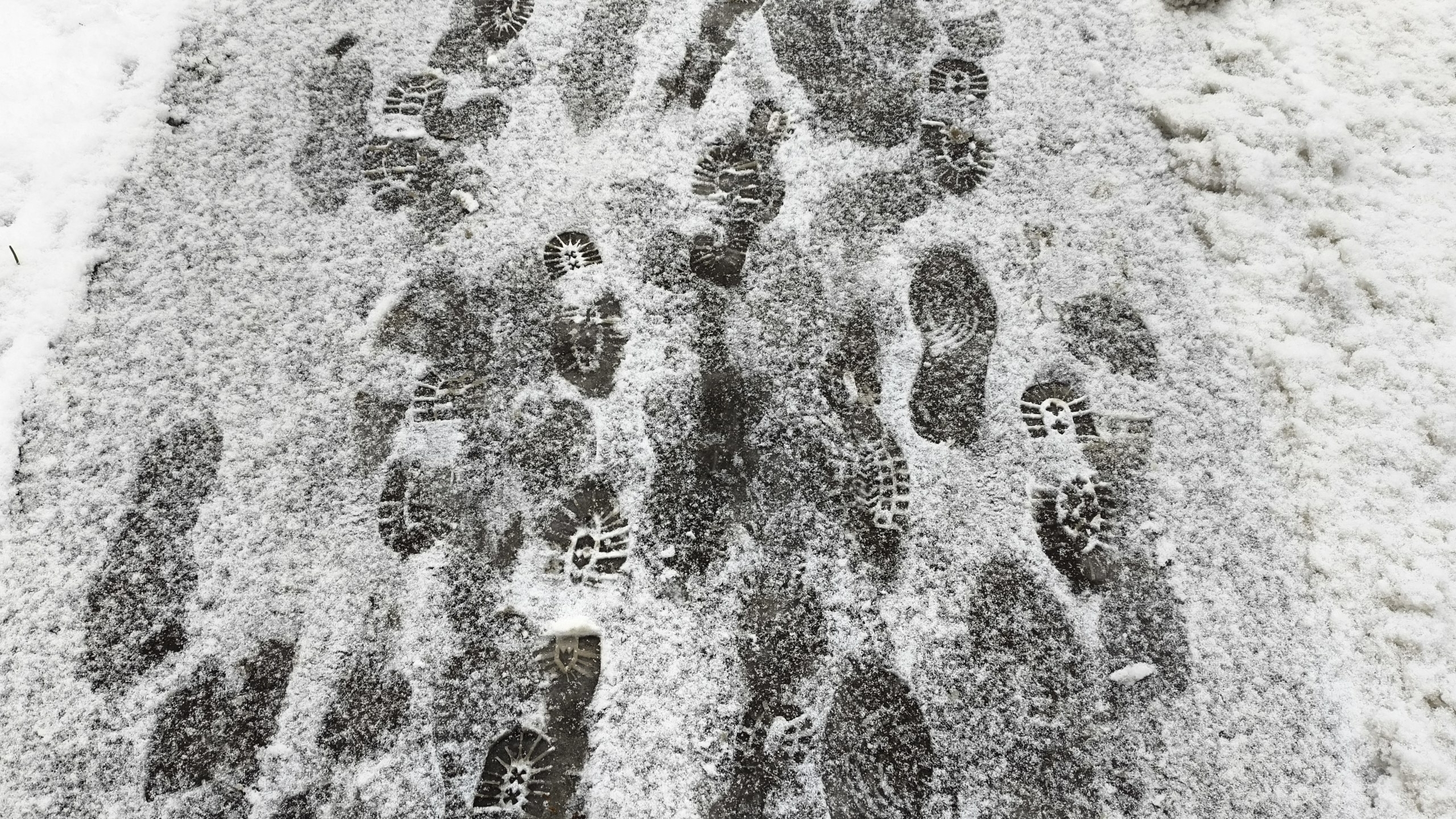 Дело в циклоне: в Петербурге похолодает к выходным