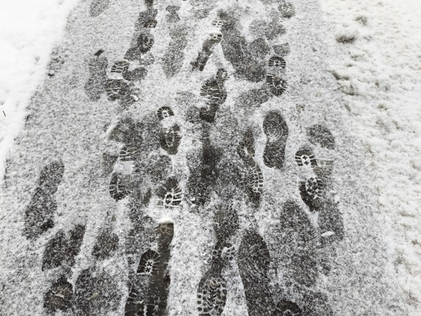 Дело в циклоне: в Петербурге похолодает к выходным