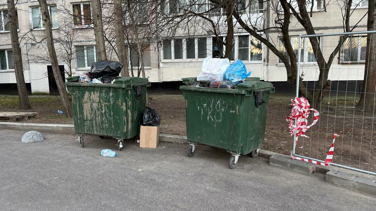 Инспекторы проверяют территорию ТЦ «Голливуд» после открытия