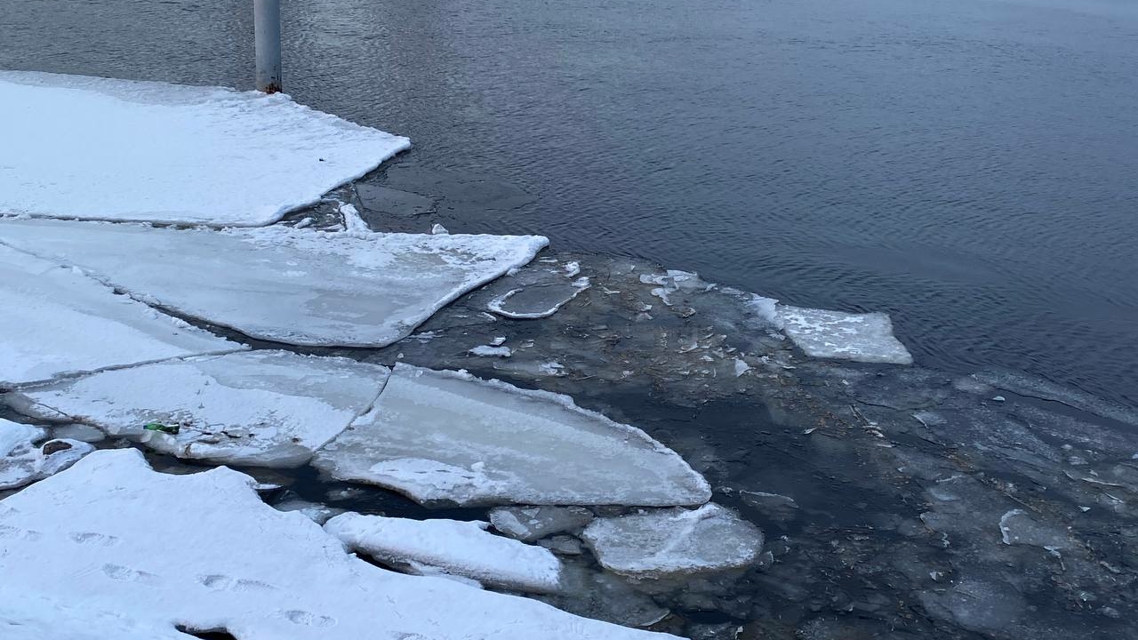 Росприроднадзор повторно проверил реку Утка на границе Ленобласти и Петербурга