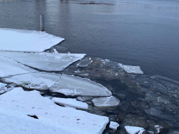 Росприроднадзор повторно проверил реку Утка на границе Ленобласти и Петербурга