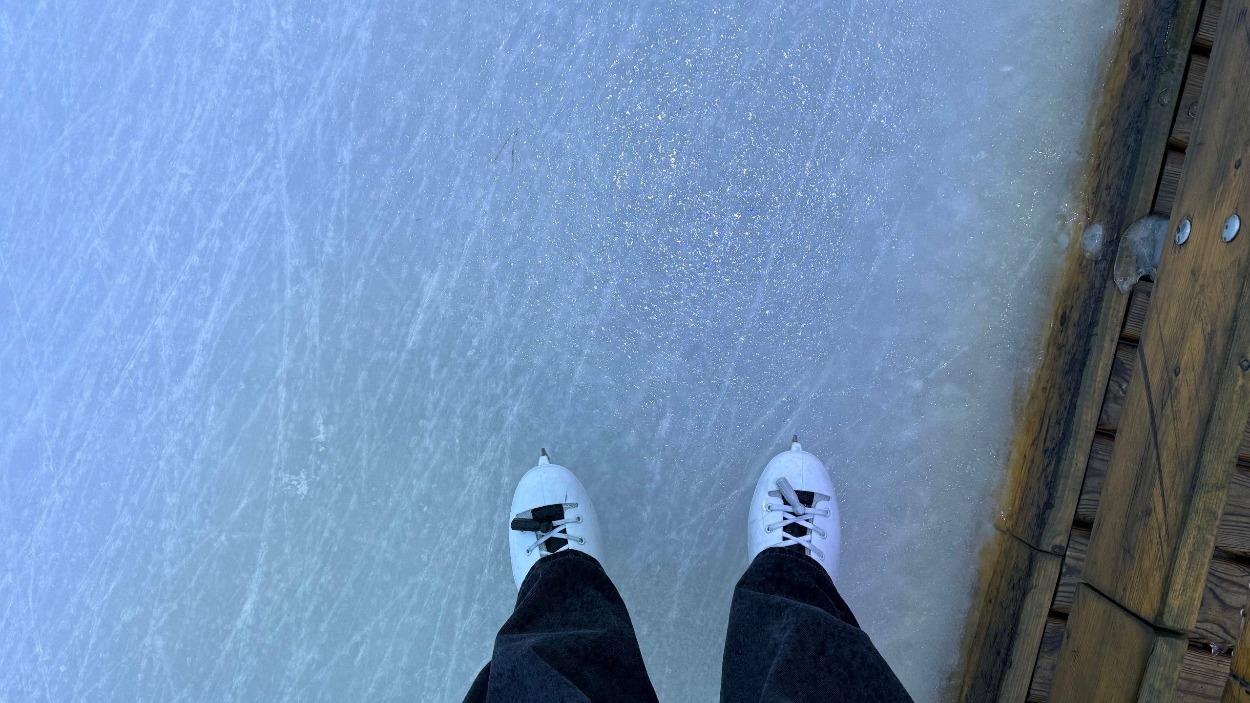 В парк на Елагином острове можно будет попасть бесплатно 31 декабря и 1 января