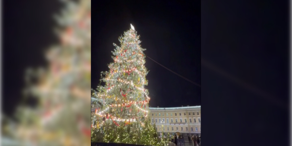 Сильный ветер в Петербурге заставил дополнительно укрепить елку на Дворцовой площади