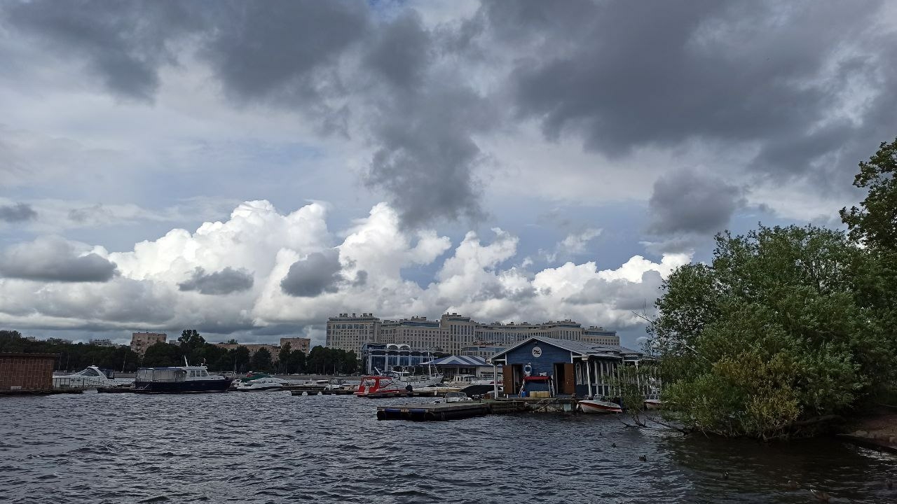 Павловский парк закрыли из-за сильного ветра в Петербурге