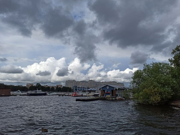 Павловский парк закрыли из-за сильного ветра в Петербурге