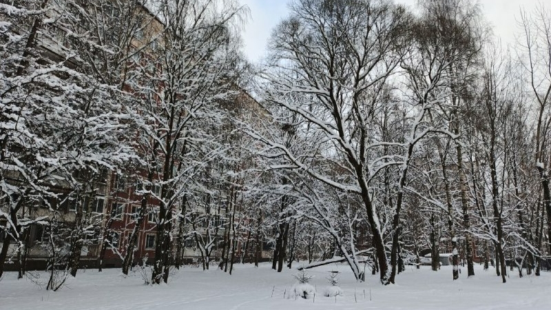 В Петербурге ввели «желтый» уровень погодной опасности из-за мороза