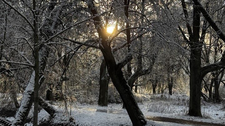 Антициклон из Финляндии принесет в Петербург солнечную погоду и мороз