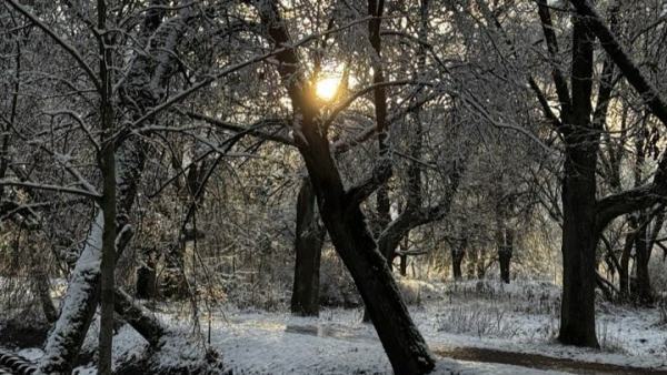 Антициклон из Финляндии принесет в Петербург солнечную погоду и мороз