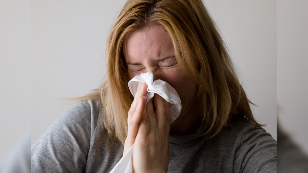 Заболеваемость ОРИ и гриппом выросла в Петербурге и Ленобласти