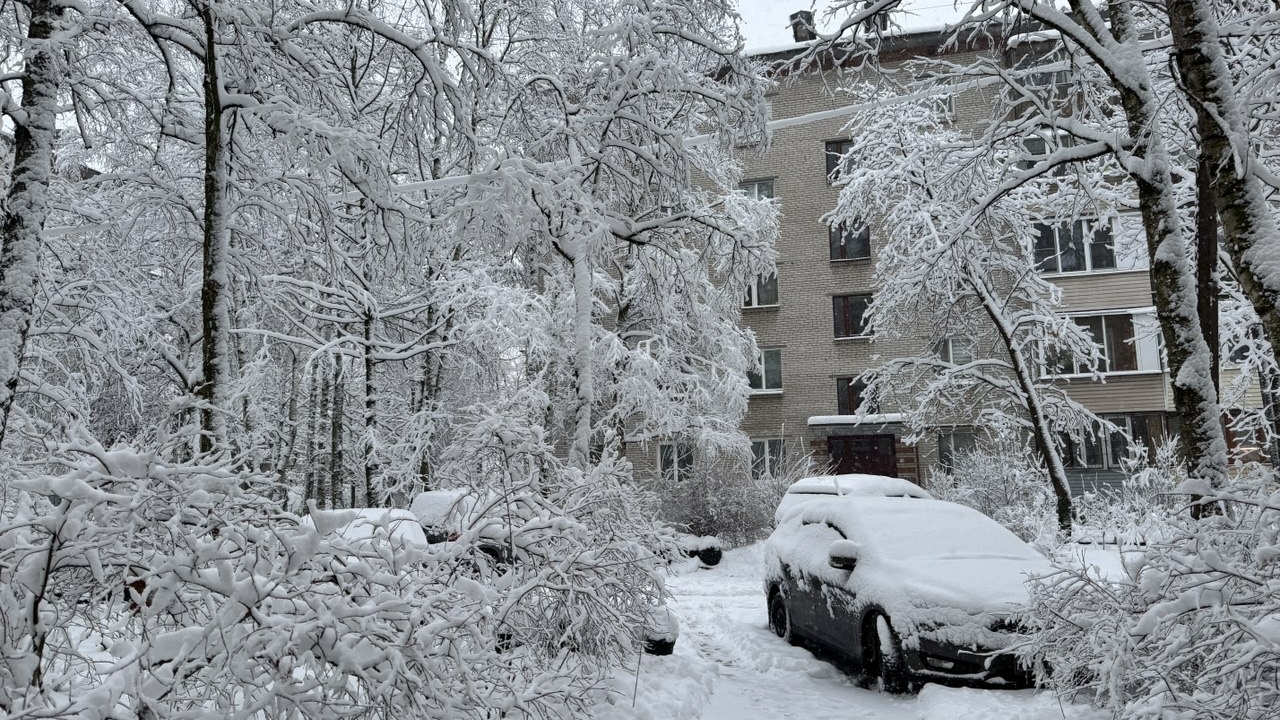 Снежный покров в Петербурге вырос за сутки и достиг 12,7 сантиметра