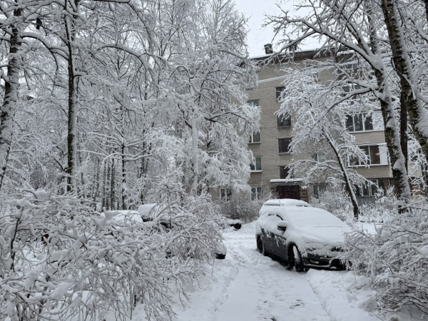 Снежный покров в Петербурге вырос за сутки и достиг 12,7 сантиметра