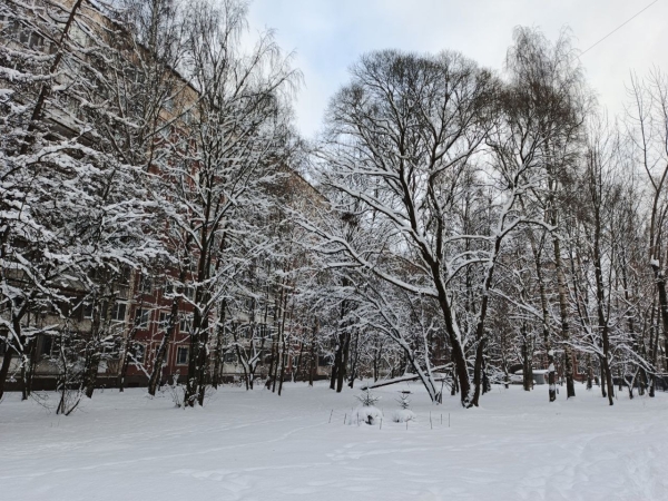 Праздничные мероприятия в Петербурге прошли без серьезных происшествий