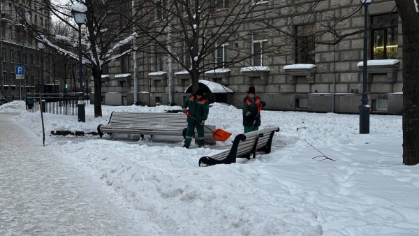 В течение недели с петербургских улиц вывезли почти 95 тысяч кубометров снега
