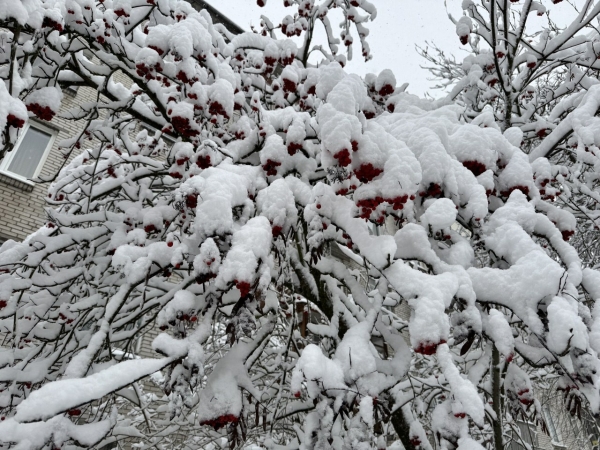 Сильный снегопад движется в сторону Петербурга