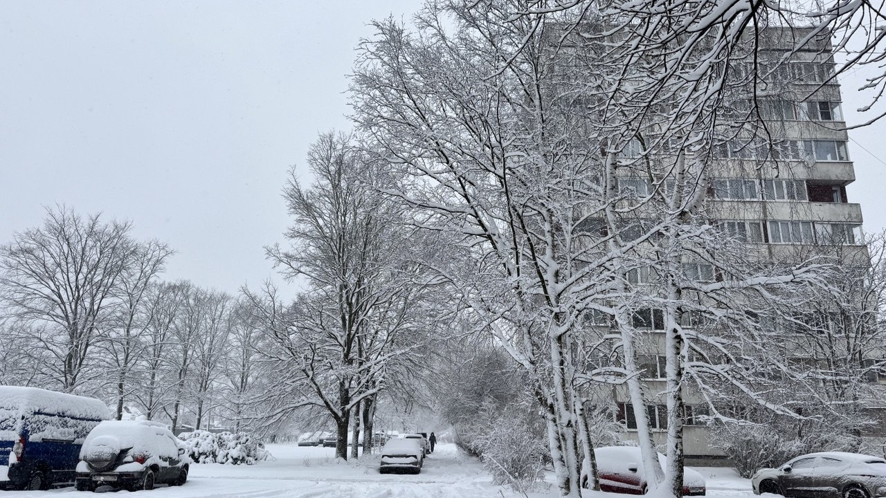 После -13°C в центре Петербург ожидает усиление холодов