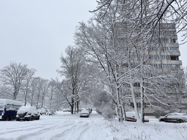 После -13°C в центре Петербург ожидает усиление холодов