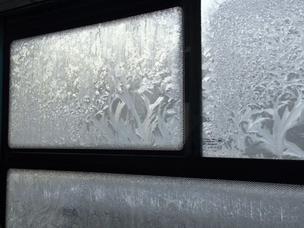 В Ленобласти температура упала до -29℃ на востоке региона