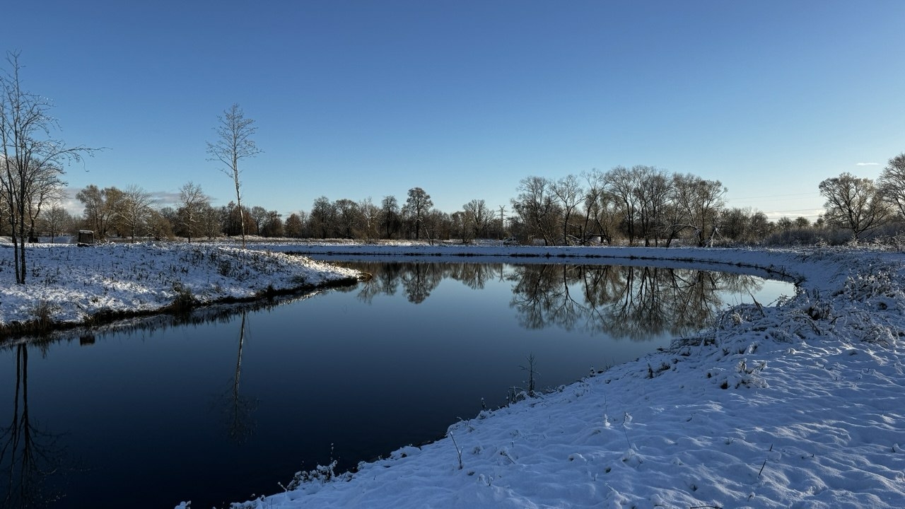 Зимующего в парке Монрепо черного дрозда заметили очевидцы