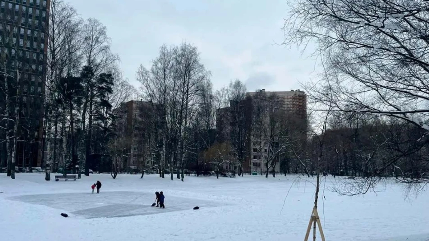 Петербуржцам напомнили об опасности прогулок по неокрепшему льду речек и прудов