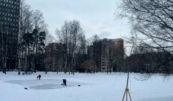Петербуржцам напомнили об опасности прогулок по неокрепшему льду речек и прудов