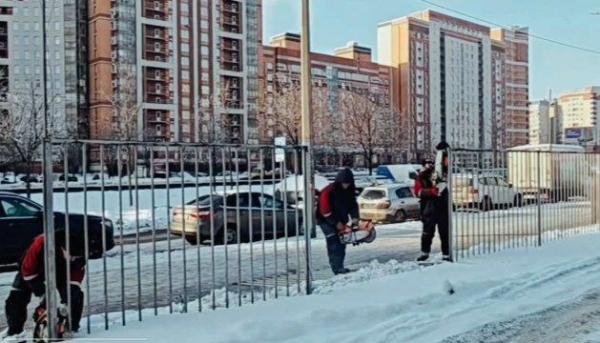 На Богатырском проспекте демонтируют незаконную парковку