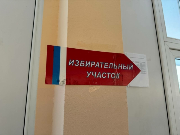 В России планируют регулировать применение ИИ в предвыборной агитации