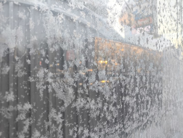 Нос и щеки прихватывает: в Петербурге продолжаются морозы