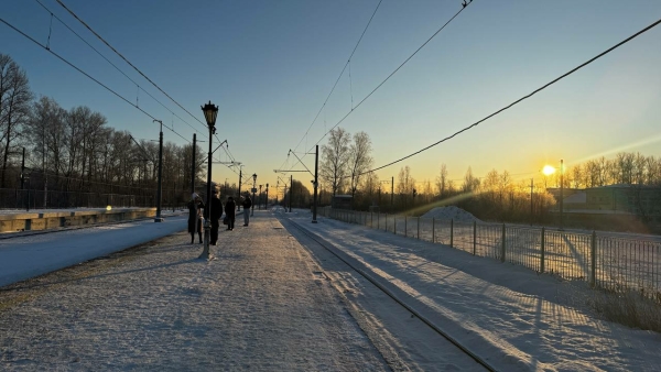 В город на Неве постепенно возвращается тепло