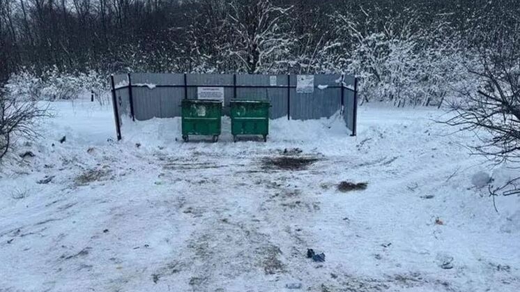 Несанкционированные свалки убрали в четырех районах Ленобласти