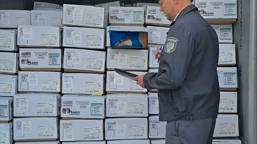 Россельхознадзор: почти в полтора раза увеличился объем идущих через Петербург на экспорт товаров