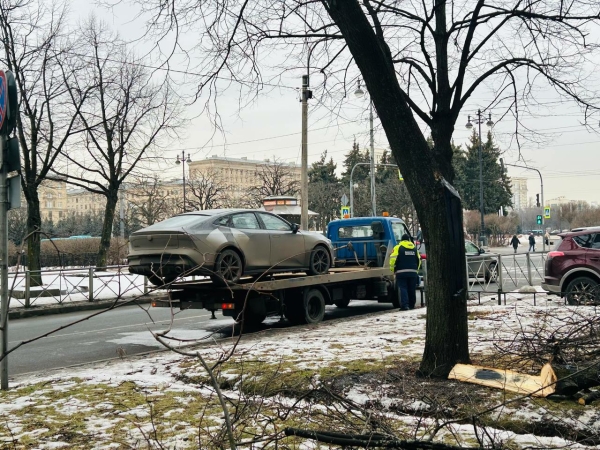 Петербуржцы в январе вдвое реже стали парковаться на газонах
