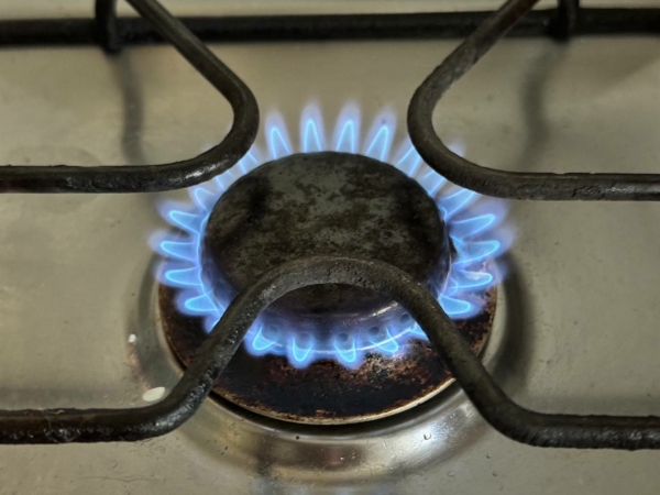 Власти Петербурга потратят 37,8 млн рублей на замену газовых и электроплит