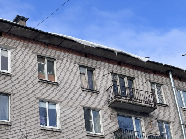 Перед приходом циклона от снега очистят 5000 крыш петербургских больниц и школ