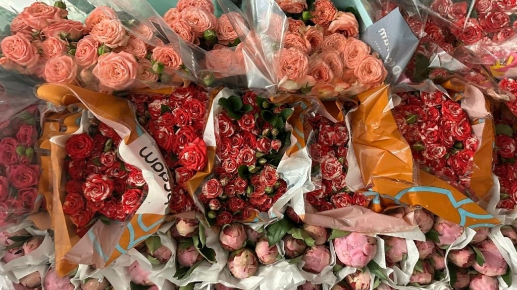 Больше 7 тысяч зараженных цветов не пустили в Петербург с начала года