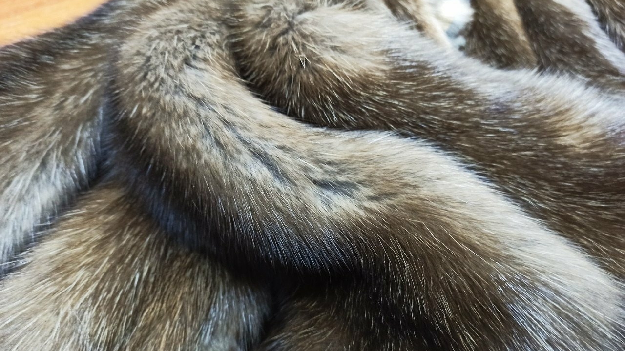 Петербург за 2026 год экспортировал почти 57 тысяч меховых и пушных шкур