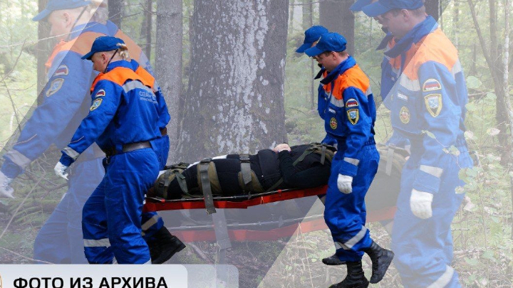 Заблудившегося в лесу под Отрадным вывели спасатели