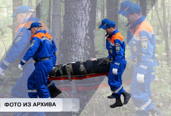 Заблудившегося в лесу под Отрадным вывели спасатели