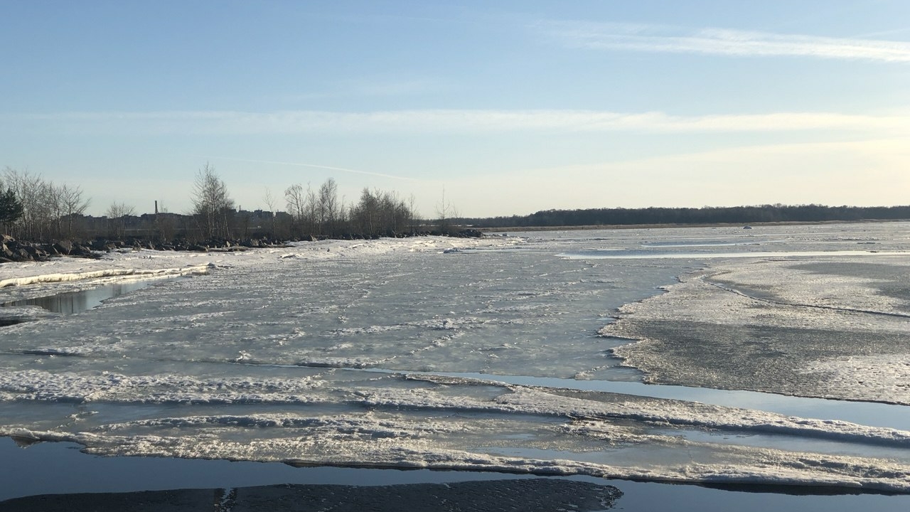 Спасатели эвакуировали 230 рыбаков со льда залива