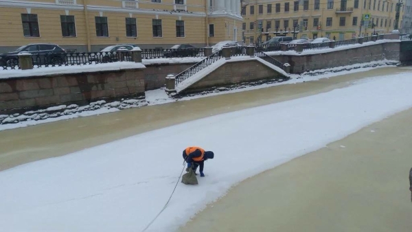 Петербургские экослужбы за неделю собрали треть центнера опасных отходов