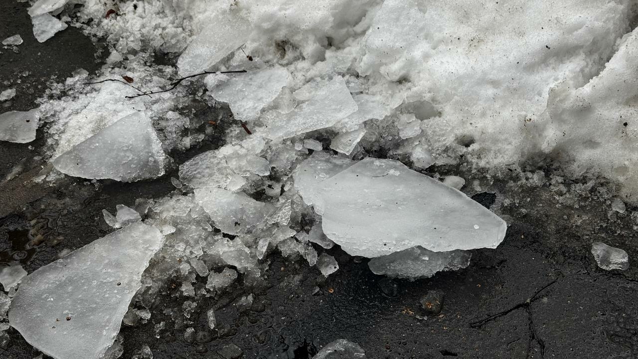 Ледокол «Сибирь» вызволил изо льда петербургские суда и отправился в Арктику