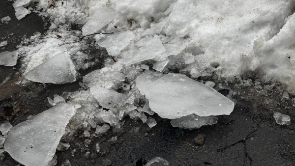 Ледокол «Сибирь» вызволил изо льда петербургские суда и отправился в Арктику