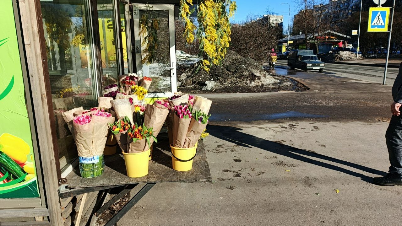 У 10 станций петербургского метро выявили нелегальных торговцев цветами