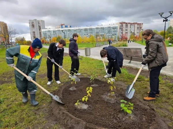 В Петербурге прибавится более трехсот зеленых насаждений