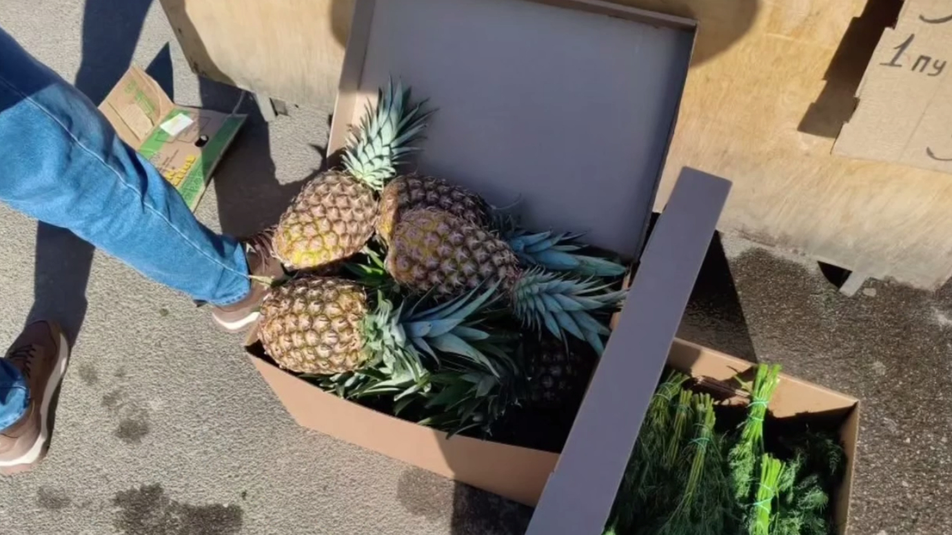 У станции метро «Озерки» в Петербурге пресечена нелегальная торговля фруктами