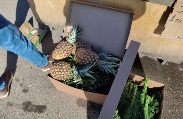 У станции метро «Озерки» в Петербурге пресечена нелегальная торговля фруктами