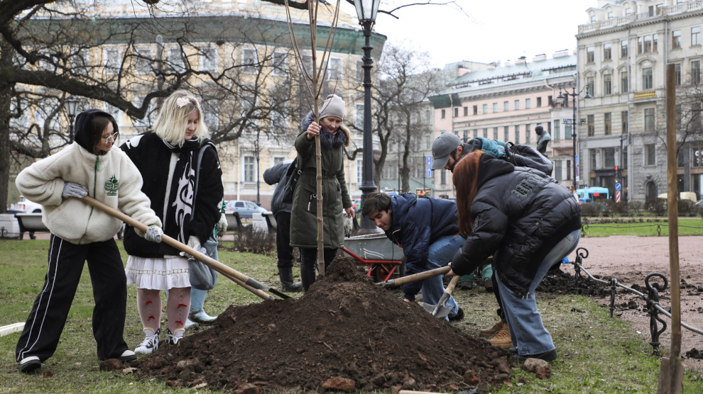 В центре Петербурга высадят более 400 деревьев