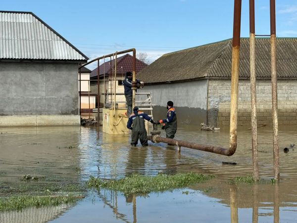 Авито отправит помощь пострадавшим от паводков в Дагестане