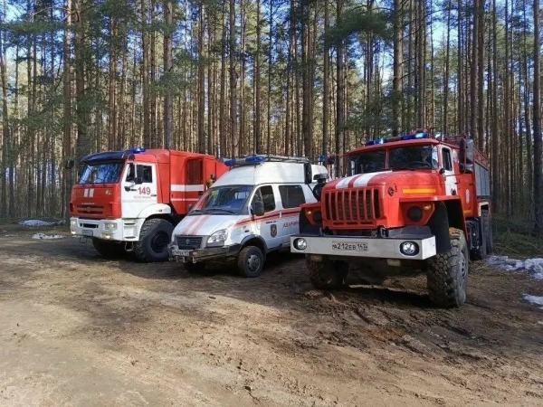 В ленинградских лесах вступает в силу особый режим