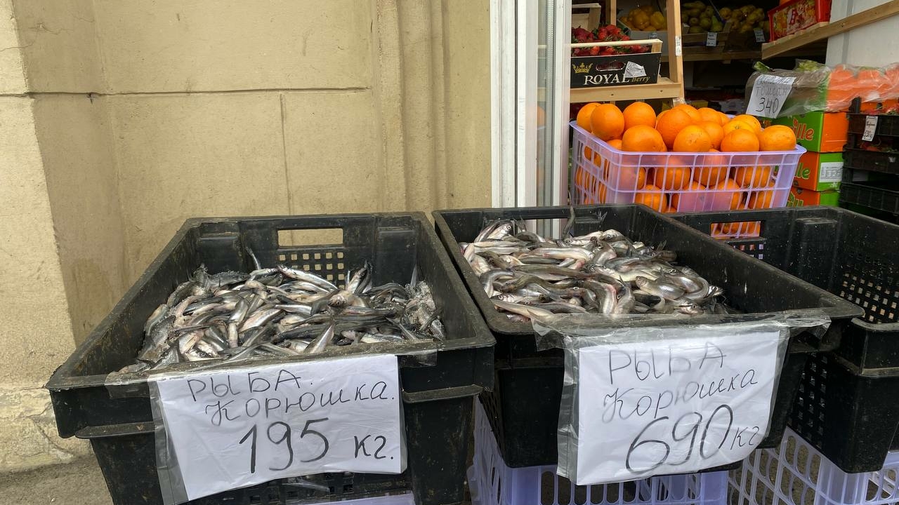 Власти заявили, что корюшка в Петербурге не подешевеет