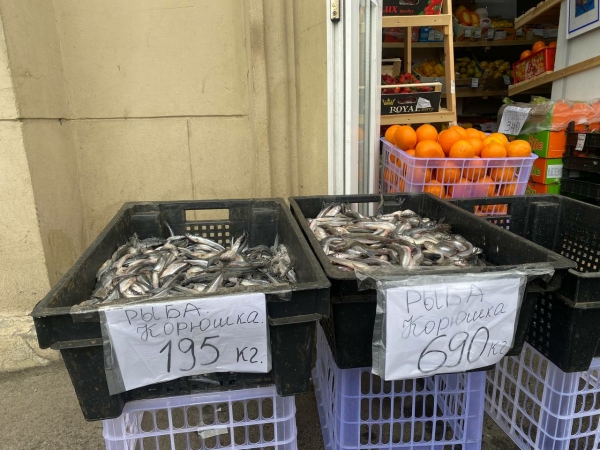 Власти заявили, что корюшка в Петербурге не подешевеет